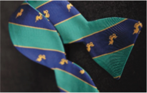 Ties - Image 6